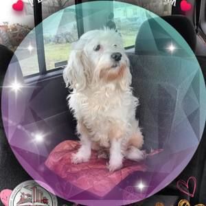 Meet your Posher, Annette